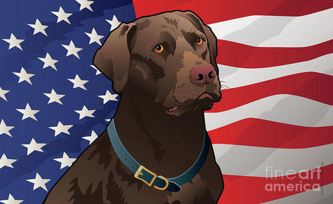 USA Chocolate Lab - Art Print