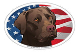 USA Chocolate Lab Oval Magnet, 6x4