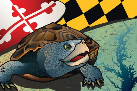 Maryland Terrapin Art Print by Joe Barsin, 16x12