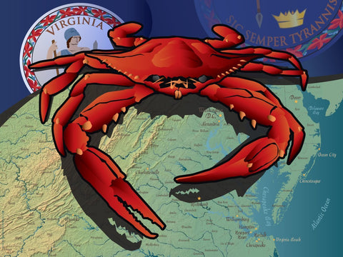 Virginia Crab Art Print by Joe Barsin, 16x12