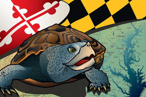 Maryland Terrapin Canvas Print by Joe Barsin, 12x8x.75