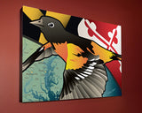 Display of Maryland Oriole Canvas Print by Joe Barsin