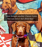 Fan Review - Maryland Chessie Large House Flag by Joe Barsin, 28x40, Chesapeake Bay Retriever