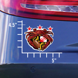 Washington Football Crab Maryland Crest Sizing Chart