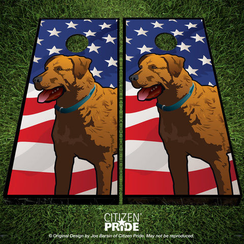 USA Chessie Cornhole Boards & Vinyl Skin Wraps, 24x48"