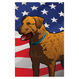 USA Chessie Garden Flag by Joe Barsin, 12x18, Chesapeake Bay Retriever