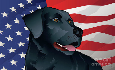 USA Black Lab - Art Print