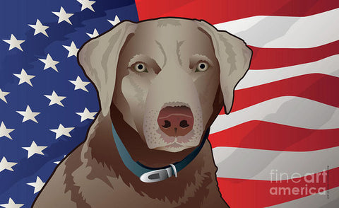 USA Silver Lab - Art Print